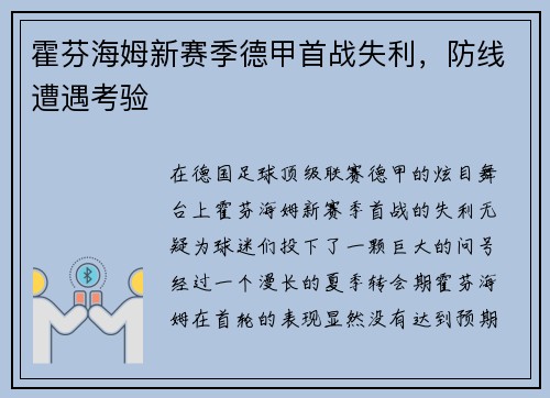 霍芬海姆新赛季德甲首战失利，防线遭遇考验