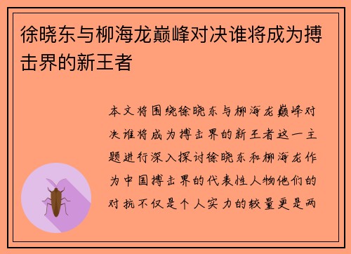 徐晓东与柳海龙巅峰对决谁将成为搏击界的新王者